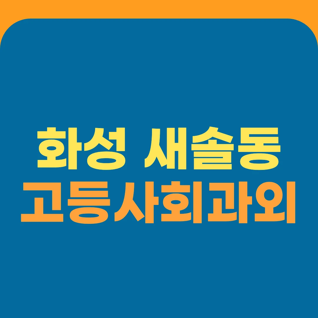 화성 새솔동 고등사회과외