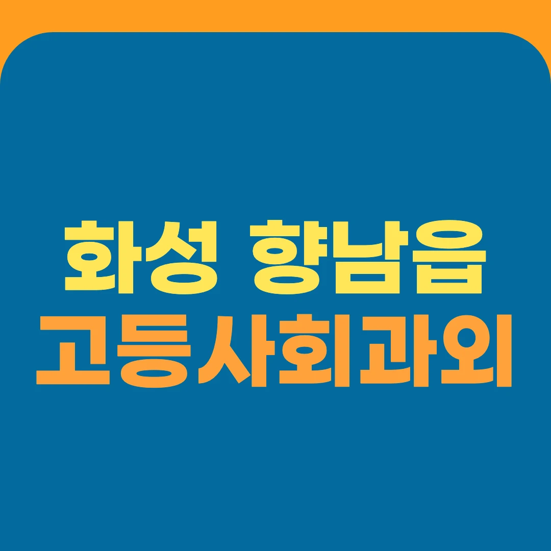 화성 향남읍 고등사회과외